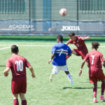 RIcciulli