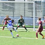 gomes ricciulli sampdoria-torino