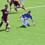 Palla Torino