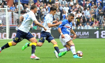 fotogallery sampdoria