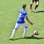 Tomic palla