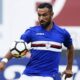 quagliarella sampdoria