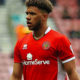 TylerRoberts
