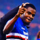 zapata sampdoria