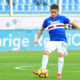 Torreira