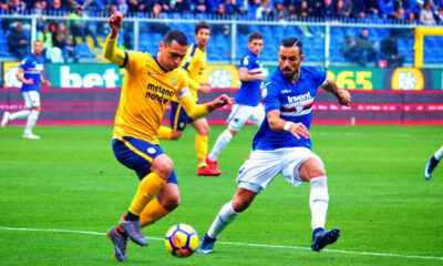 romulo quagliarella hellas verona-sampdoria