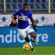 zapata sampdoria