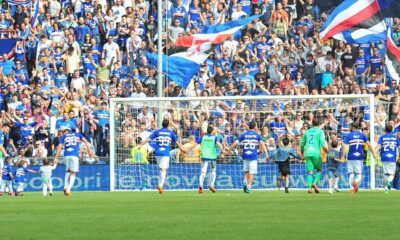 Samp inglese