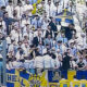 Verona