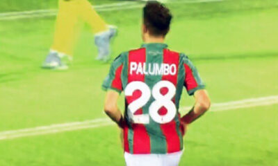 Palumbo