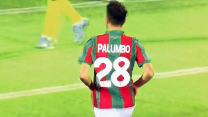 Palumbo