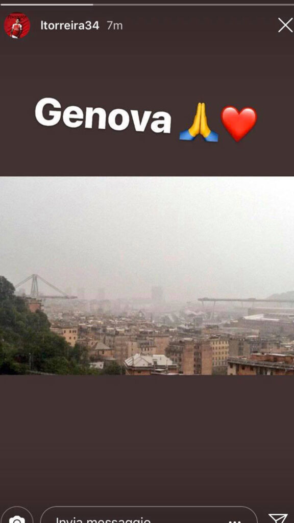 Torreira