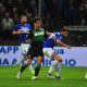 Sampdoria Sassuolo live