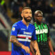 tonelli sampdoria