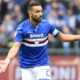 quagliarella sampdoria