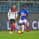 vieira Bologna-Sampdoria