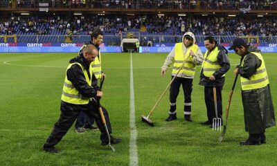 campo sampdoria ferraris manto erboso