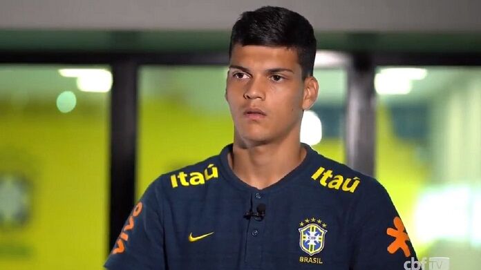 brazao-brasile brazão brasile