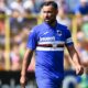 quagliarella sampdoria