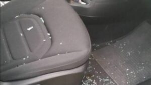 «I tifosi della Sampdoria hanno incendiato la mia auto». Ma è bluff