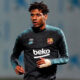 Todibo