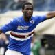 obiang sampdoria