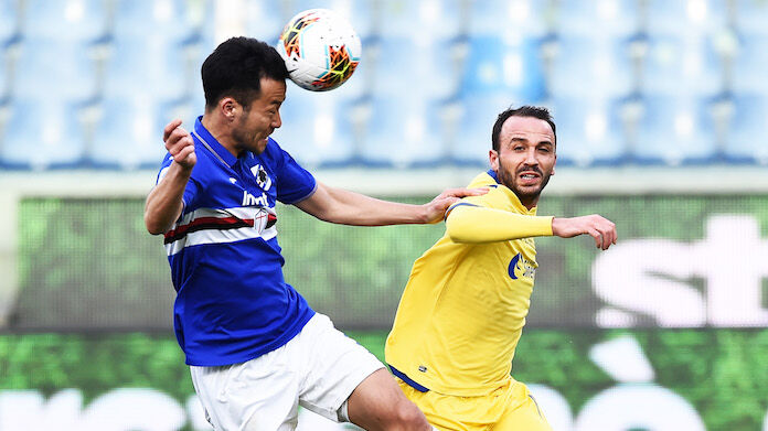 yoshida-pazzini-sampdoria-verona Sampdoria Yoshida