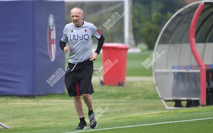 Mihajlovic Bologna GDM