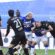 highlights sampdoria bologna