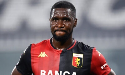 Zapata 3