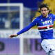 torregrossa sampdoria