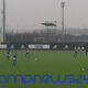 Juvesamp
