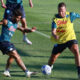Insigne AGP 3479