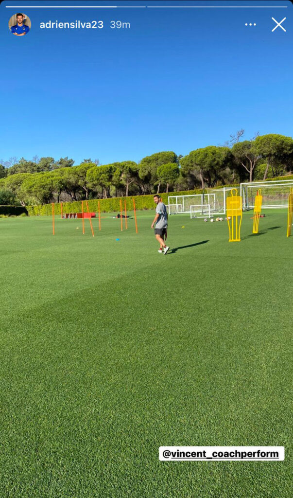 silvaallenamento
