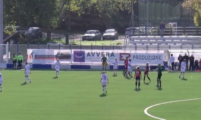highlights