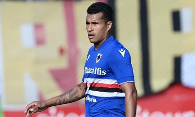 Murillo MG0 2411
