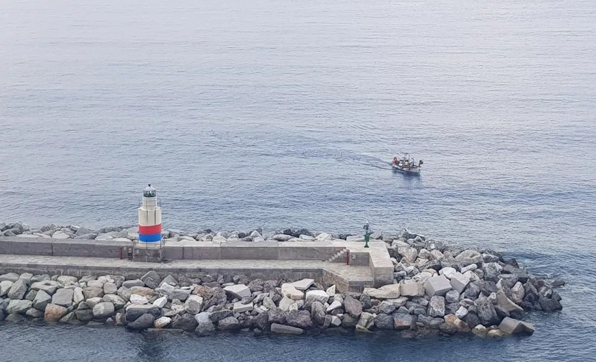 farocamogli169p47860 copia