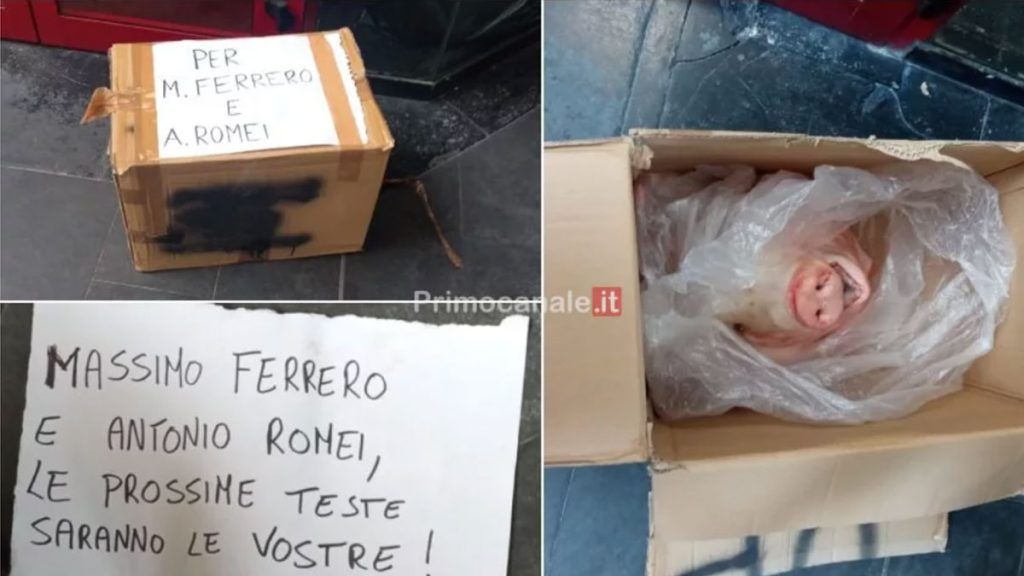 Testamaiale