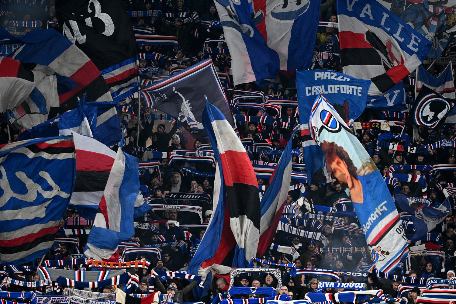 Sampdoria, Fredberg aveva altre proposte ma ha scelto i blucerchiati! Il retroscena 26 Image Photo833000