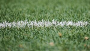 I cinque giocatori più grandi della storia della Sampdoria