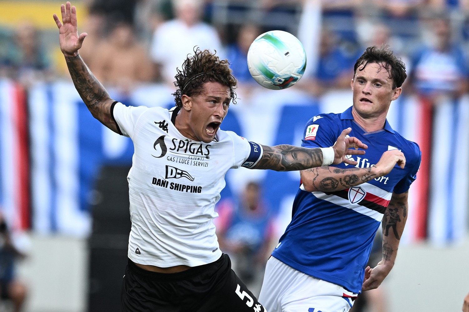Spezia Sampdoria LIVE 1-1: inizio secondo tempo 26 Image Photo888639