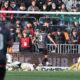 Di Nardo Sampdoria, il Padova è in pole per l'attaccante! I dettagli 32 Image Photo938850