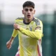 Calciomercato Sampdoria, nuovi nomi nel taccuino! Da Faticanti a Cutrone: le ultime 31 faticanti juve