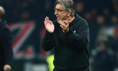 Juric riparte dalla Serie B: scelta a sorpresa 30 Juric applaude in panchina