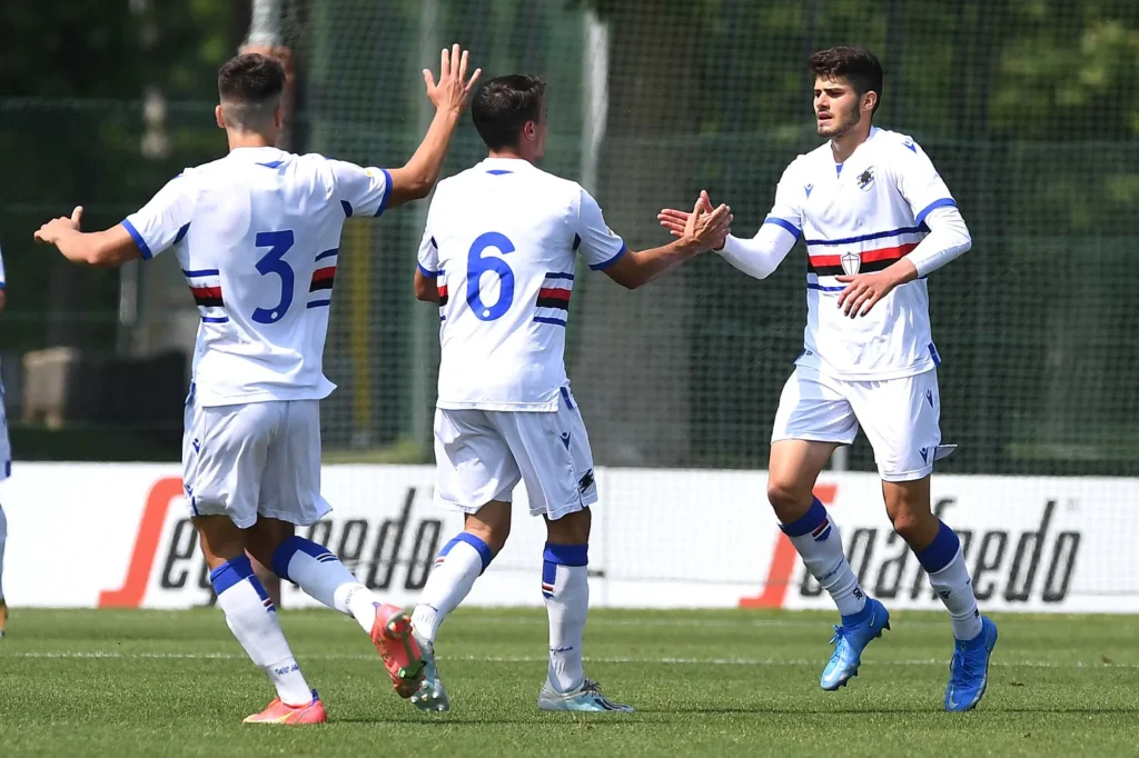 Samp primavera