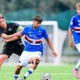 casalino