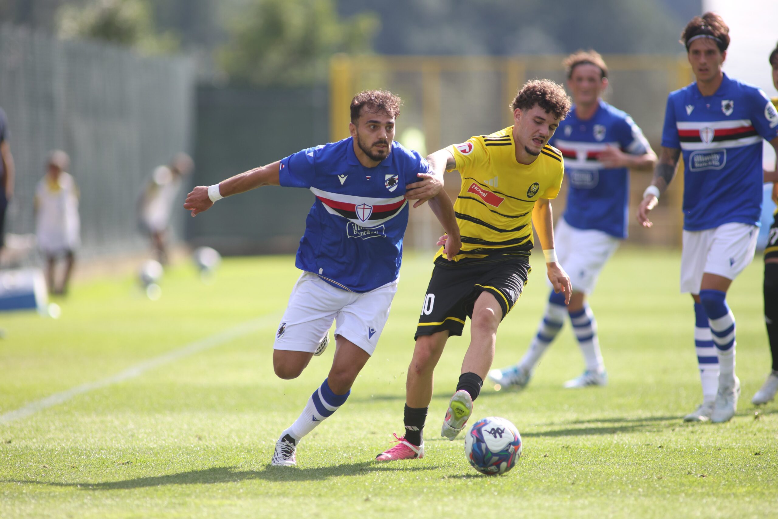 Ultimissime Sampdoria LIVE: ci si prova per Di Mario, le novità sugli abbonamenti e sulla posizione di Sinani 26 Danel Sinani (Sampdoria)