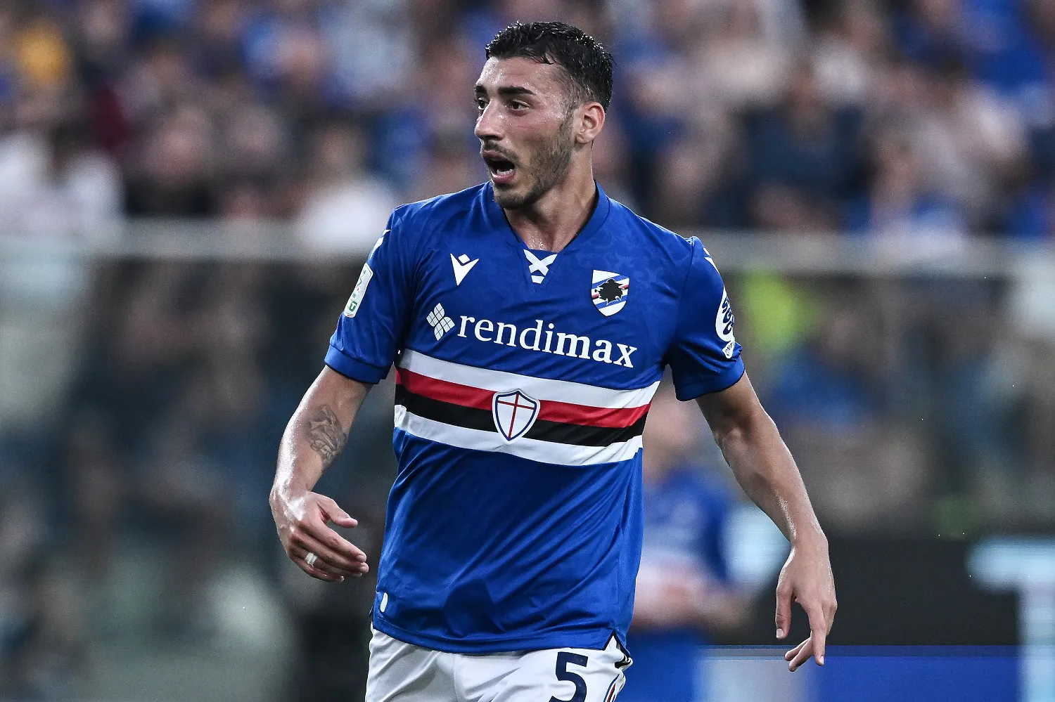 Mercato Sampdoria, capitolo uscite. C'è anche Riccio sulla lista dei partenti 26 Image Photo877003