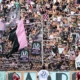 La febbre del Barbera: Palermo vicino al tutto esaurito per il big match contro la Sampdoria 28 tifosi Palermo 3