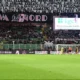 Siamo allo scadere verso la sfida Palermo Sampdoria: superate le 26 mila presenze al Barbera 30 tifosi palermo 1
